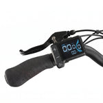 Chanty Cargo Teen Electric