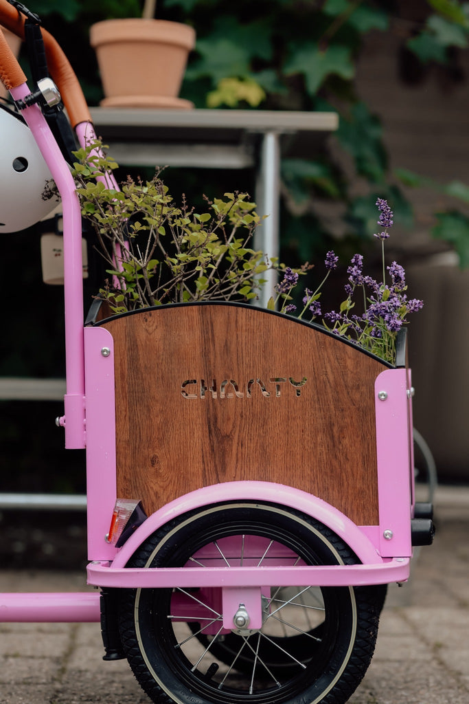 Chanty Cargo Kid – Pink inkl. hjelm, flaskeholder, håndtag i 2 farver og ringklokke - BørnecyklerneChantyBørnecyklernePink: BLC16 - LYRChanty Cargo Kid – Pink inkl. hjelm, flaskeholder, håndtag i 2 farver og ringklokke